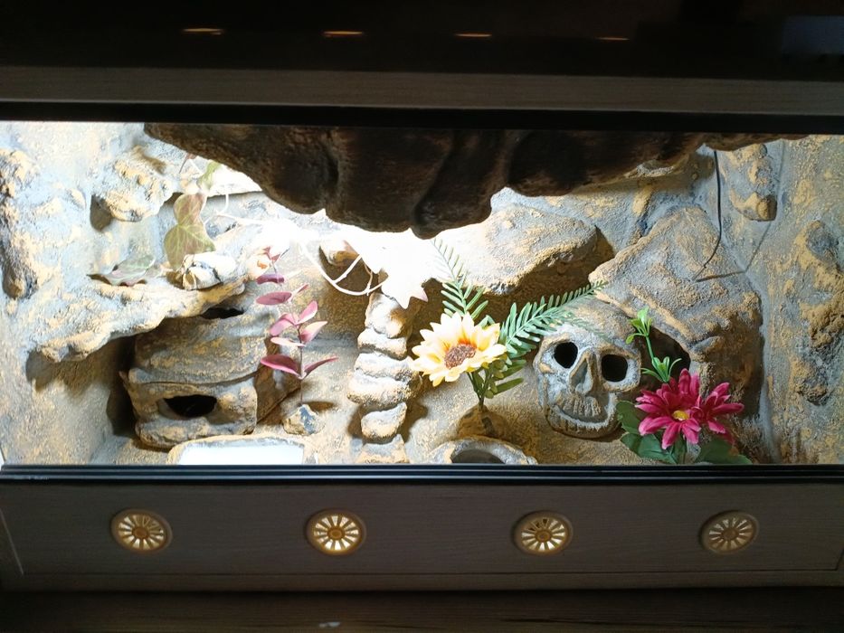 Terrarium z płyty meblowej