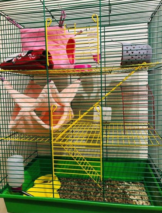 Гамачки для гризунів, щурів.