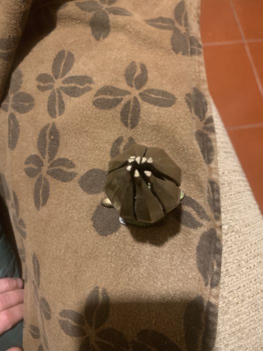 Incensário/queimador de oleos