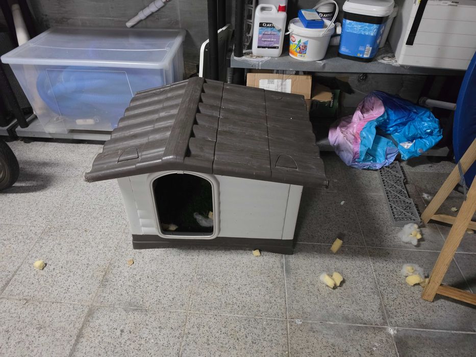 Casota para cão pequeno/medio porte