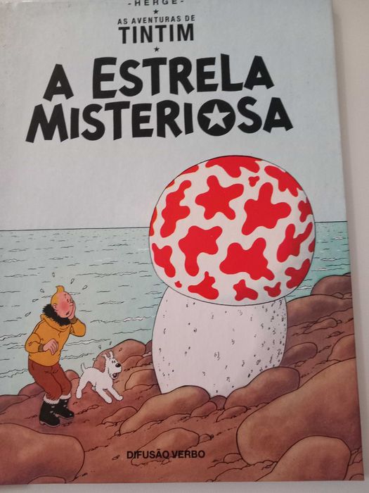 Livros infantins