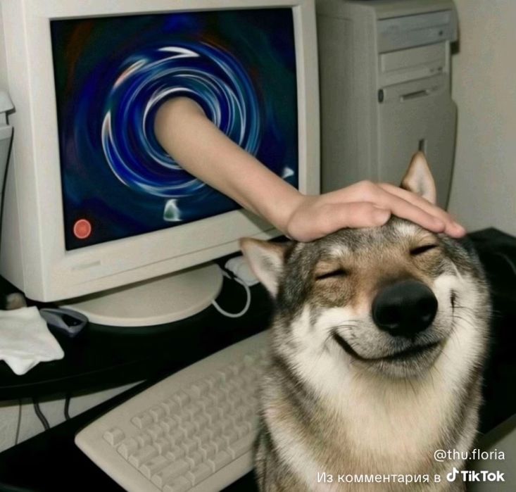 Собачка старенька