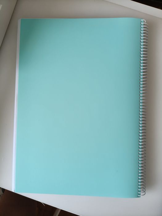 Manual MACS 11° ano