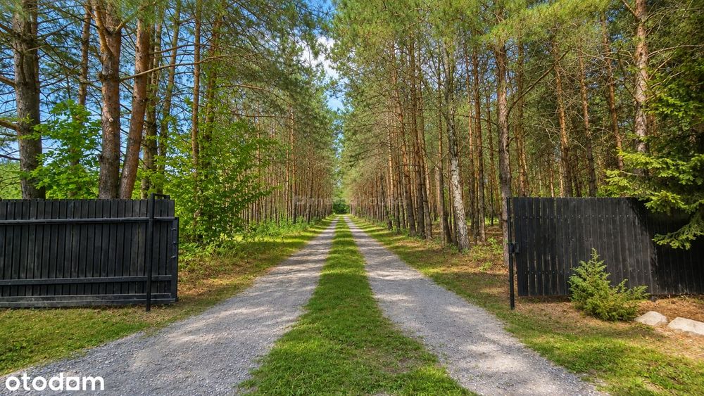 Dom – Młyniec - Widok 4