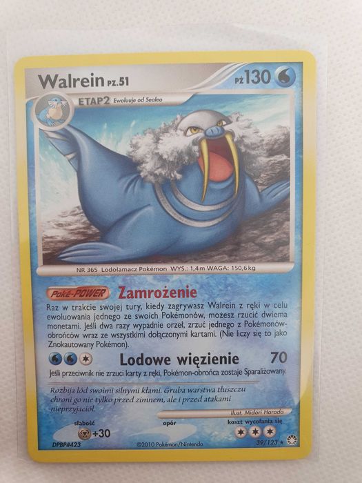 Karty pokemon Diement i Perła Ursaring, Gengar, Walrein, Machamp
