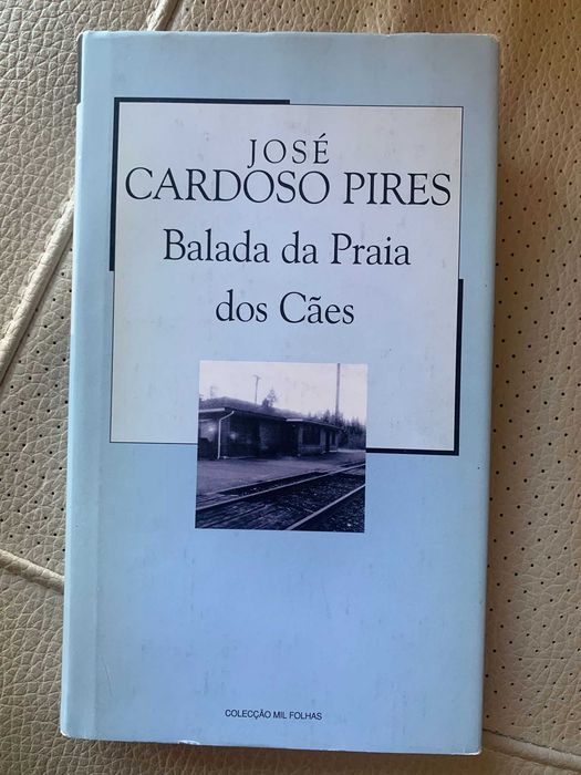 Livros variados e baratos em português