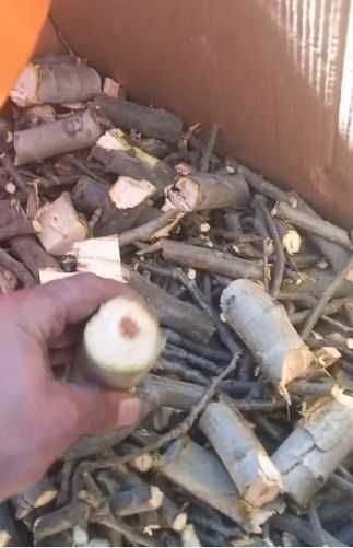 Від виробника! Гілкоруб, ріжучий модуль (80/100/120мм) дробарка гілок