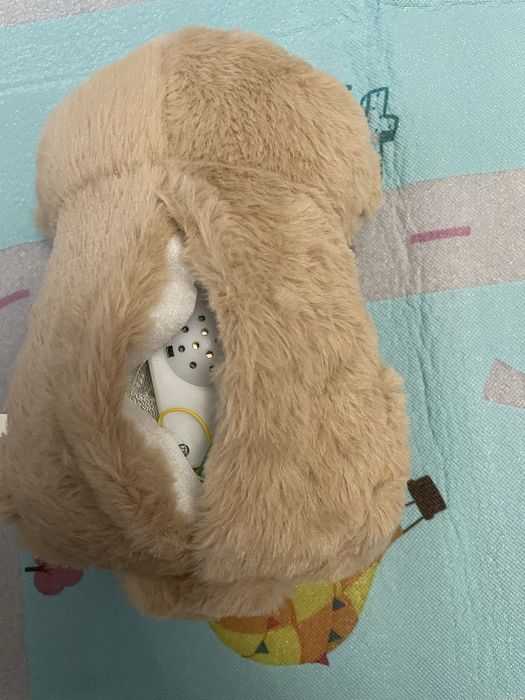 Видра Дихаюча видра співає