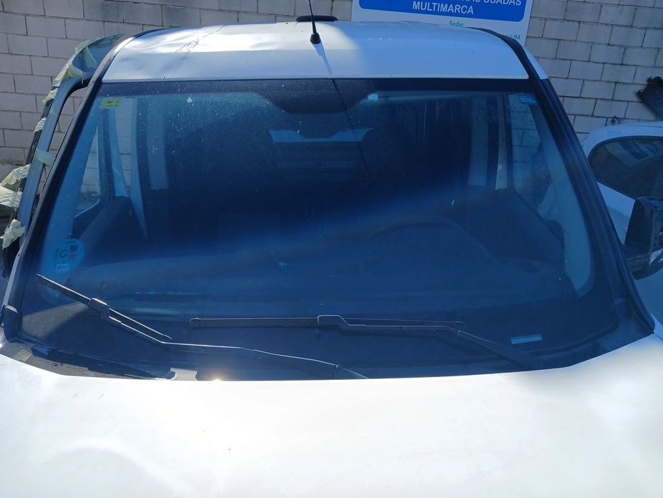 Pára-brisas FIAT Doblo (263_)