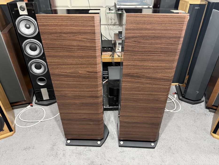 Focal chorus 826v noyer