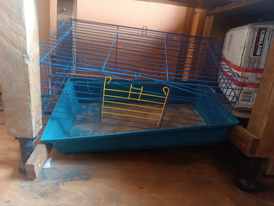 Отдам даром.Бесплатно