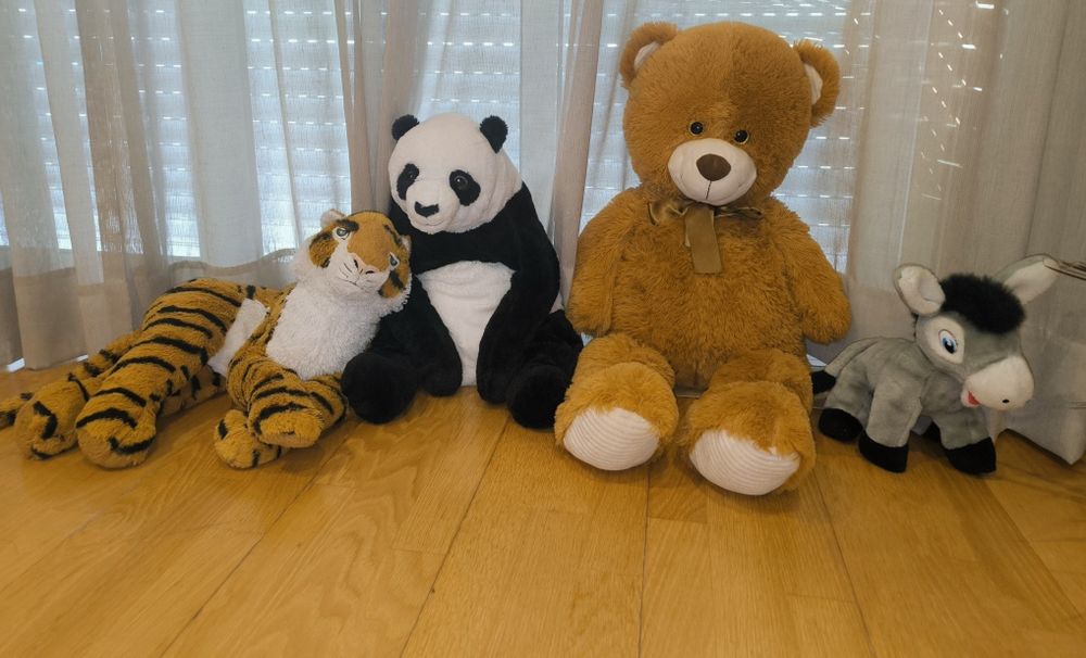 Animais de peluche precisam novo lar