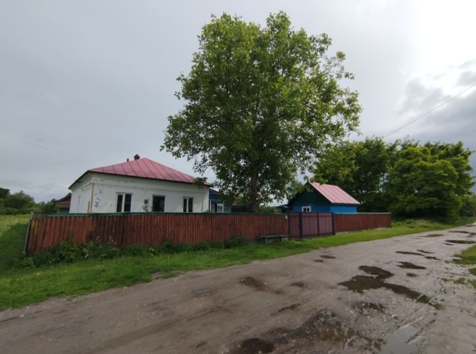 Продається будинок у с.Бахмач