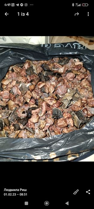 Ласощи для собак (лакомства) жили сушені