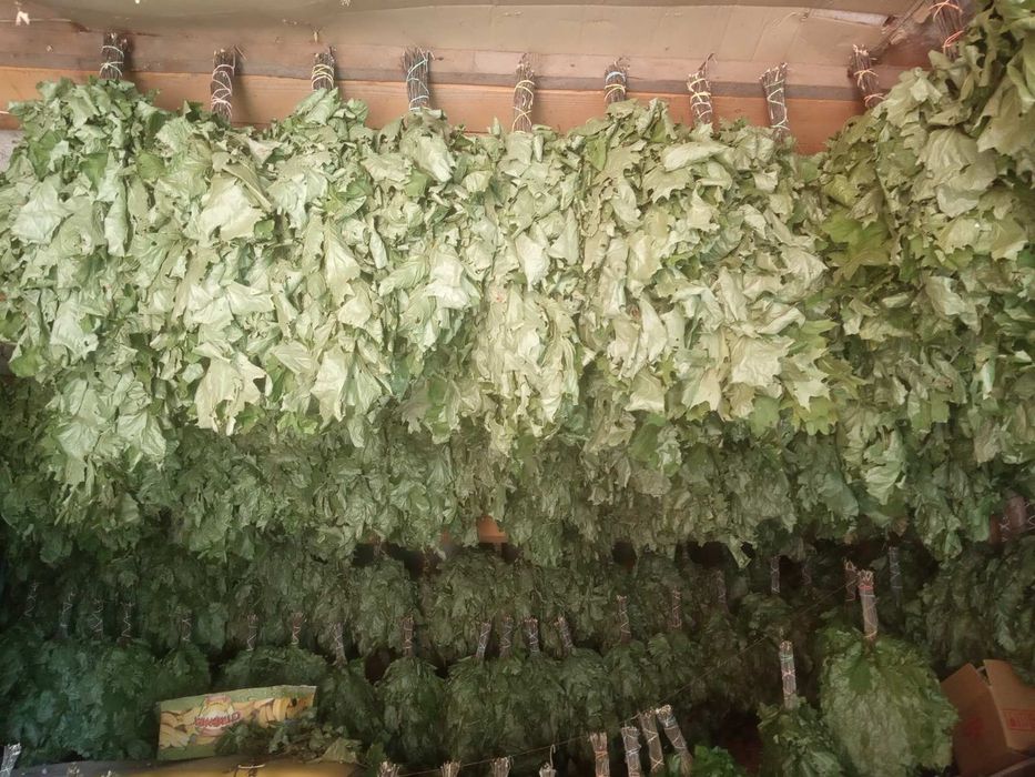 Продам віники для бані