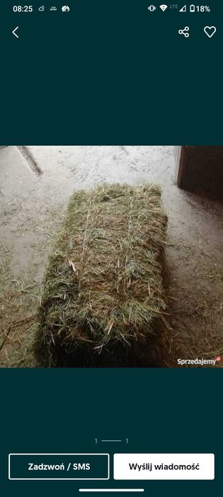 Siano w kostkach skos 2025