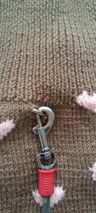 В'язаний светр для песека або котика