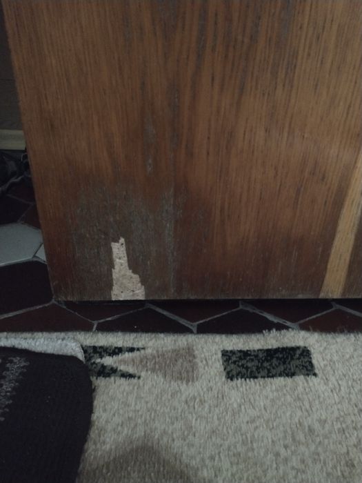 Холодильник у дерев'яному корпусі Снайґе 1m. Snaige 1m