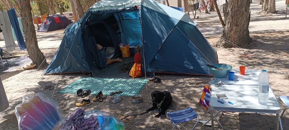 Tenda arpenaz 4.2
