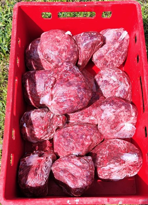 Mięso mielone dla psow