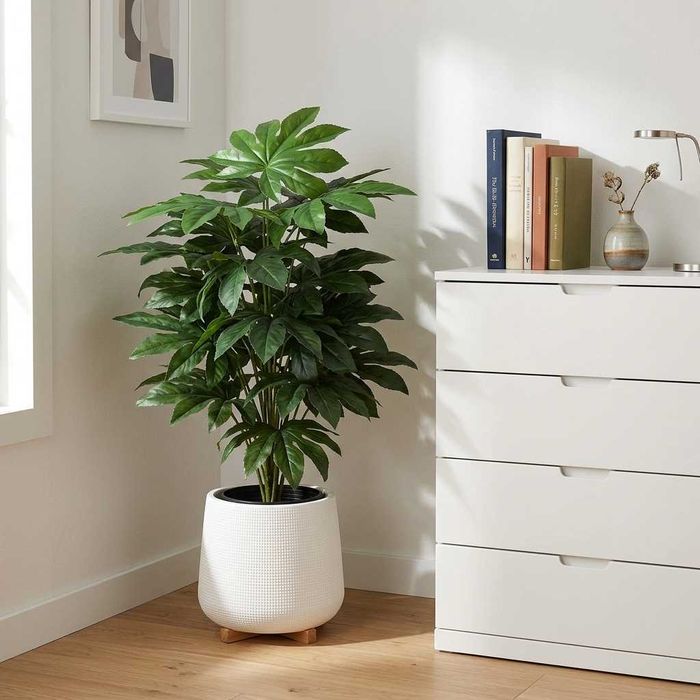 Ficus Artificial 1.20M