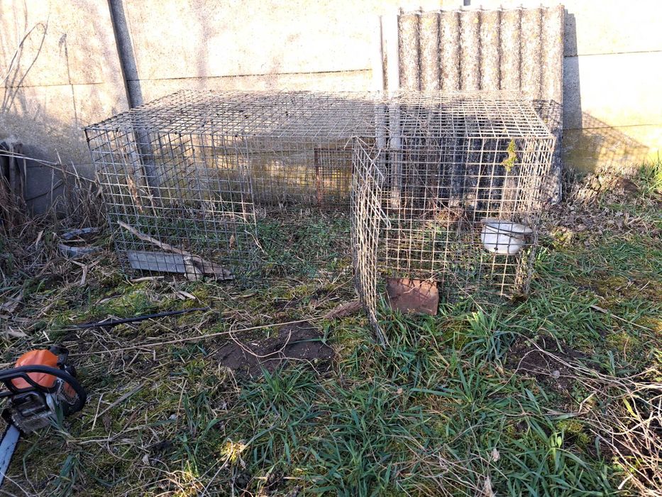 Klatki dla zwierząt