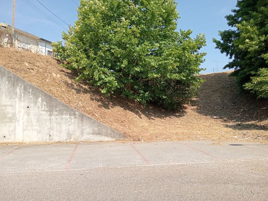 Serviços profissionais de limpeza de terrenos