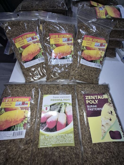Насіння кормових буряків, червоних буряків, моркви