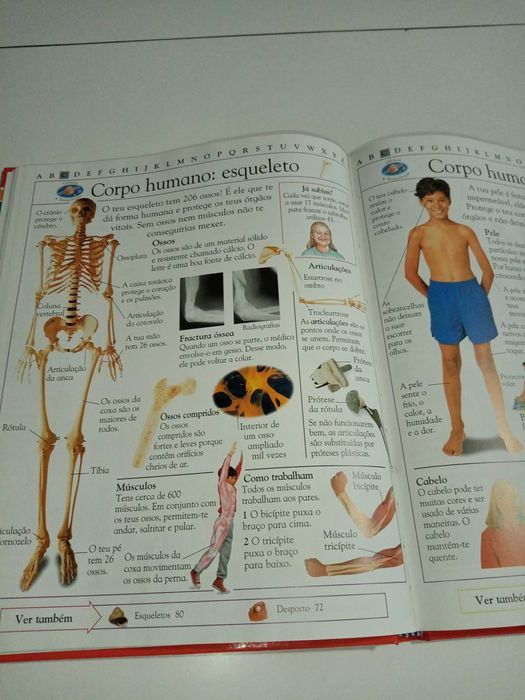 Enciclopédia Infantil Ilustrada