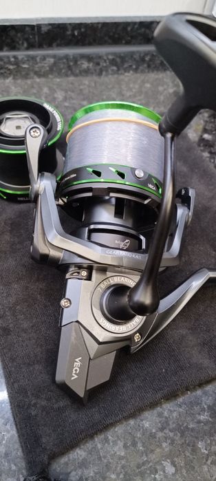 Carreto de surfcasting