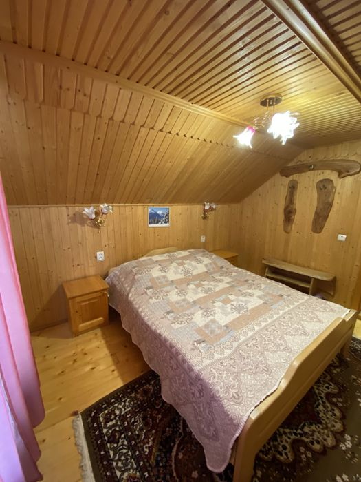 Відпочинок в Карпатах