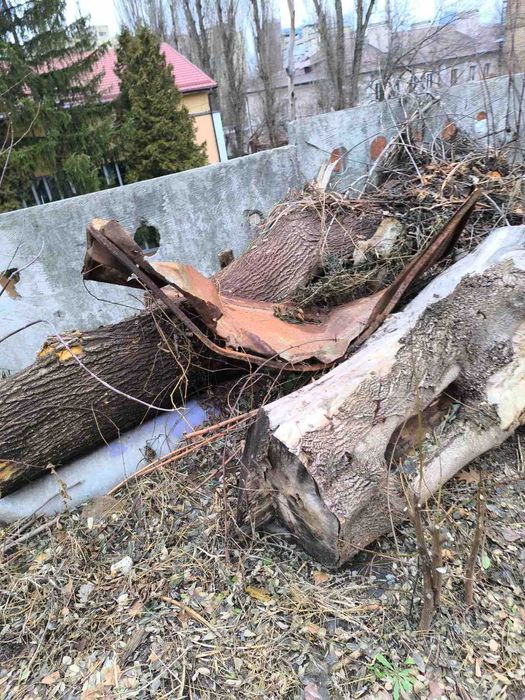 Деревина для обробки, дрова