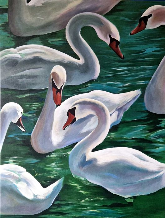 Białe łabędzie, duży obraz do salonu, ręcznie malowany 60x80cm