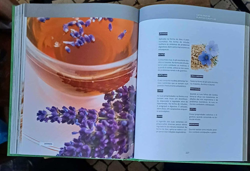 Grande Guia de Medicina naturalista