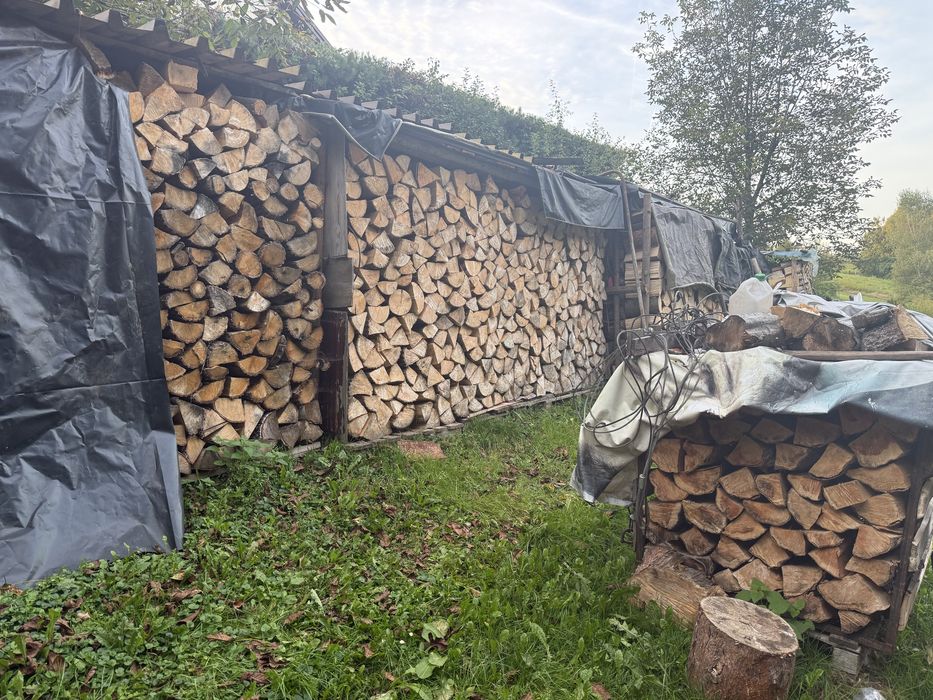 Sprzedam drzewo Sosna, jodła, Olcha , brzoza , dąb