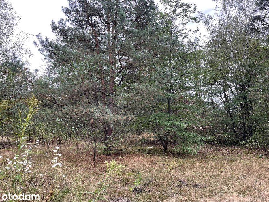 Działki o pow. 4583 m2 pod budowę 6 budynków 2-lokalowych | Józefów