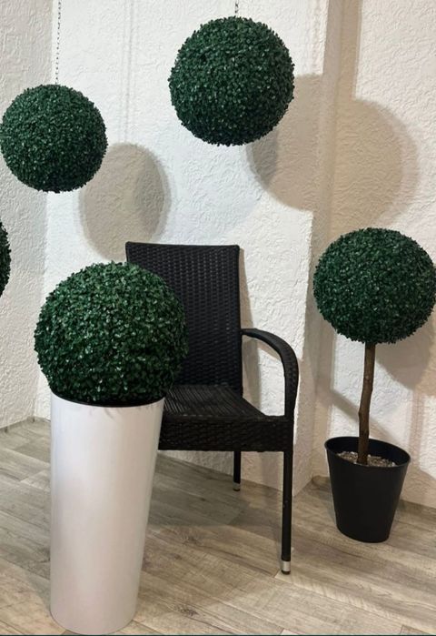 Продаем! Искусственный декоративный самшит!