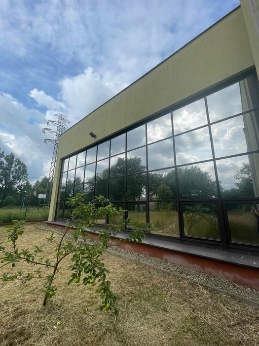 Folia okienna, Folia lustro