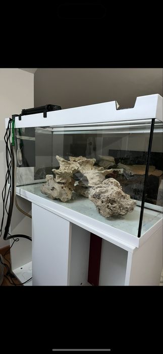 Aquário completo