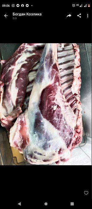 М'ясо підготовлених козликів