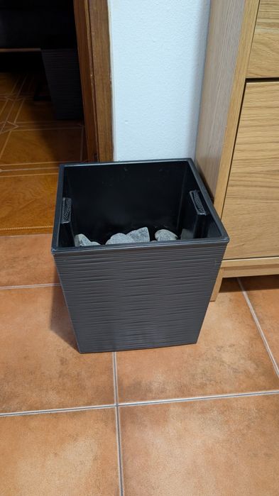 Vasos de plantas