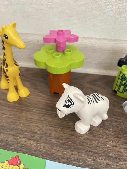LEGO DUPLO Дитинчата тварин  (10904)
