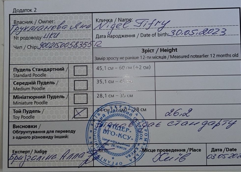 Вязка той пудель КСУ(FCI) 26cm сертифікат