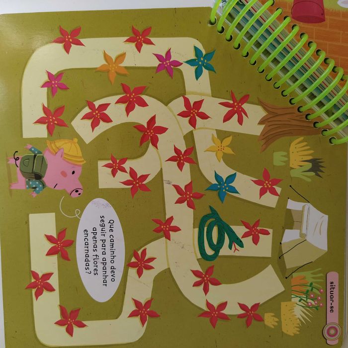 Livro Educare :Bloco de atividades 4/5 anos