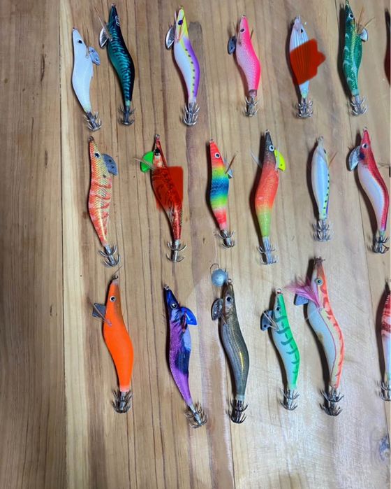 Iscos de pesca de choco