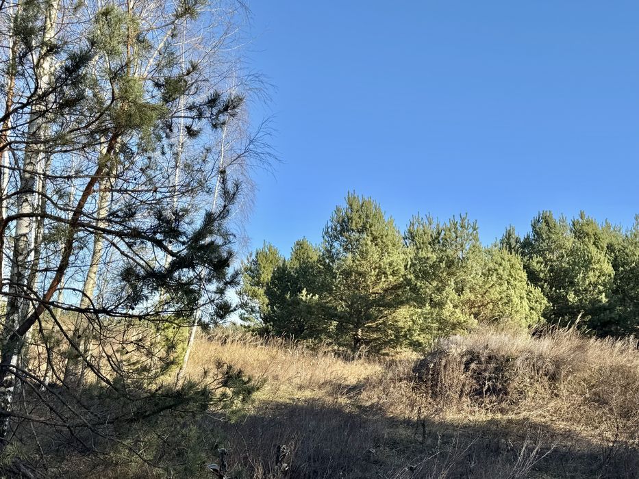 Земельна ділянка 8 Га! Ясногородка!