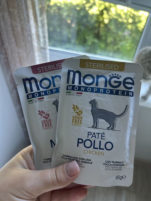 вологий корм Monge