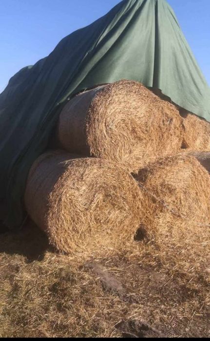 Sprzedam słomę z tamtego roku