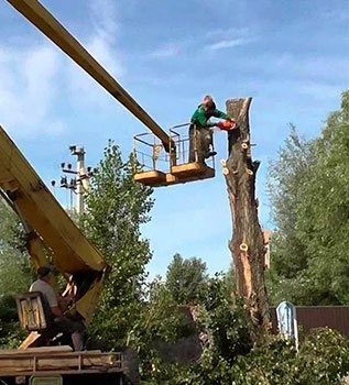 Чистка ділянок! Покіс трави!