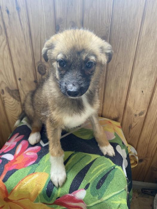 В люблячу родину!